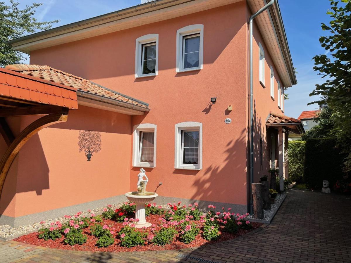 Zentrumsnahe Ferienwohnung Dresda Esterno foto