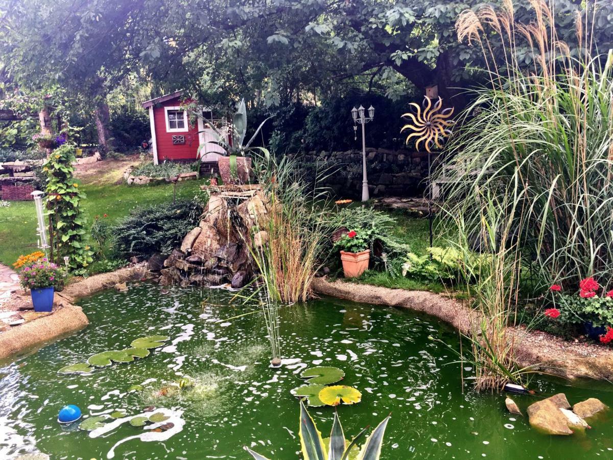 Zentrumsnahe Ferienwohnung Dresda Esterno foto